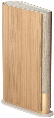 Bang & Olufsen Beosound Emerge Gold Tone