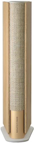 Bang & Olufsen Beosound Emerge Gold Tone