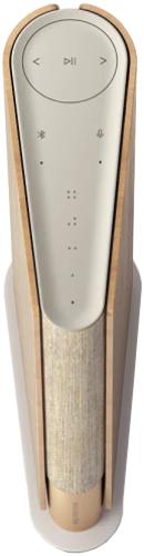 Bang & Olufsen Beosound Emerge Gold Tone