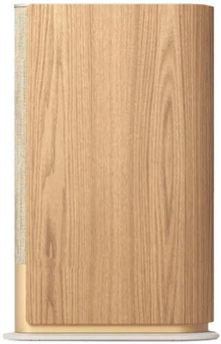 Bang & Olufsen Beosound Emerge Gold Tone