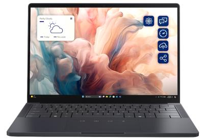 DELL Pro 14 Premium PA14250