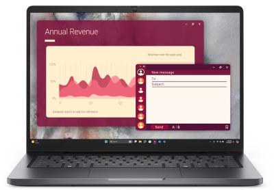 DELL Pro 14 PC14250