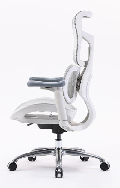 Spinergo Dual  biela